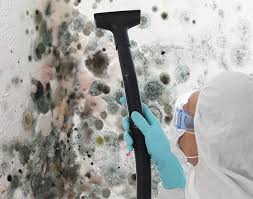 Best Attic Mold Removal  in Princeton, FL